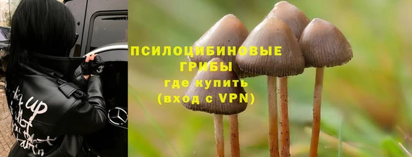мет Балахна