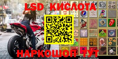 индика Кулебаки