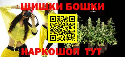 индика Кулебаки