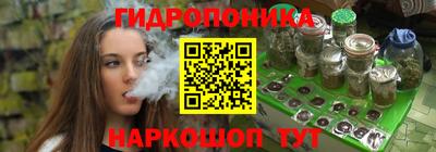 индика Кулебаки