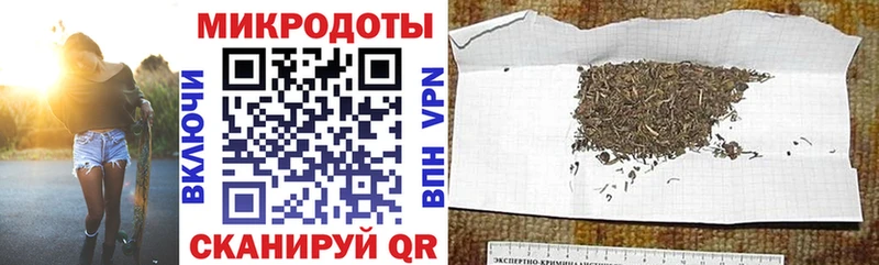 Галлюциногенные грибы мицелий Курган