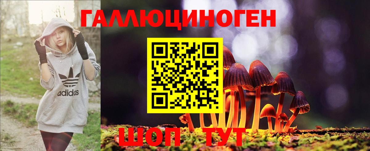 Курган  Псилоцибиновые грибы GOLDEN TEACHER  Вход с VPN 